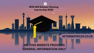 SETA Skill Solution Cleaning Learnership 2025