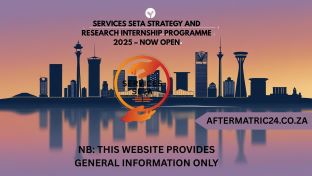 SERVICES SETA STRATEGY AND RESEARCH INTERNSHIP PROGRAMME 2025 – NOW OPEN