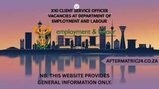 X10 CLIENT SERVICE OFFICER VACANCIES AT DEPARTMENT OF EMPLOYMENT AND LABOUR