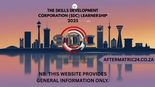 THE SKILLS DEVELOPMENT CORPORATION (SDC) LEARNERSHIP 2025