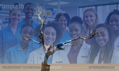 Phlebotomy Technician Learnership Programme 2026 at Ampath – Accredited 24-month healthcare training with online and practical experience in Centurion and Durban. Learn blood collection, lab procedures, and patient care. Apply now to start your career in healthcare.