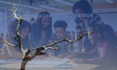 "DHL Global Forwarding Learnership 2024/2025 – South African youth working in a logistics office environment, gaining skills in freight forwarding and international shipping operations."