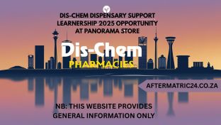 DIS-CHEM DISPENSARY SUPPORT LEARNERSHIP 2025 OPPORTUNITY AT PANORAMA STORE