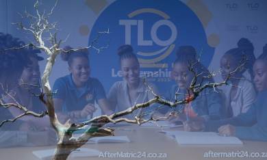 Young South African professional submitting CV for learnership opportunity at The Learning Organisation (TLO)