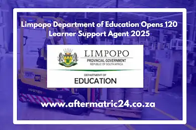 Limpopo Department of Education Opens 120 Learner Support Agent 2025