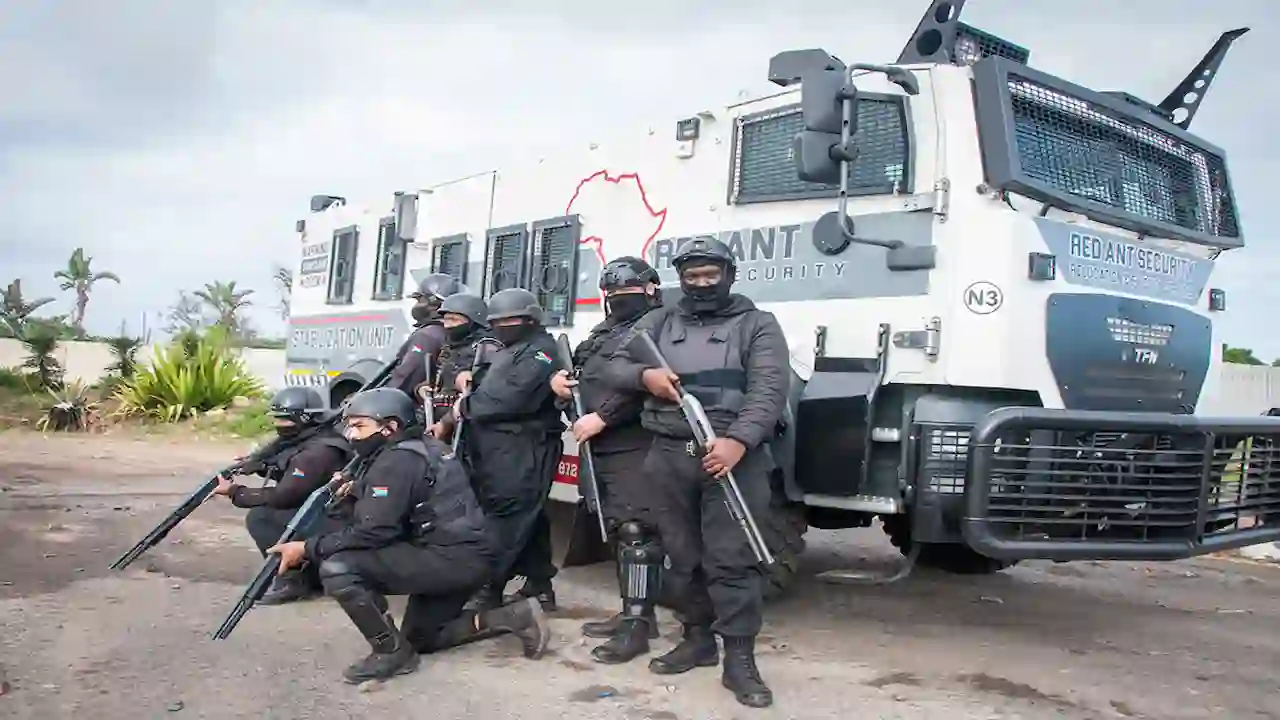 Red Ant Security Vacancies 2026 Security Officers Supervisors Limpopo