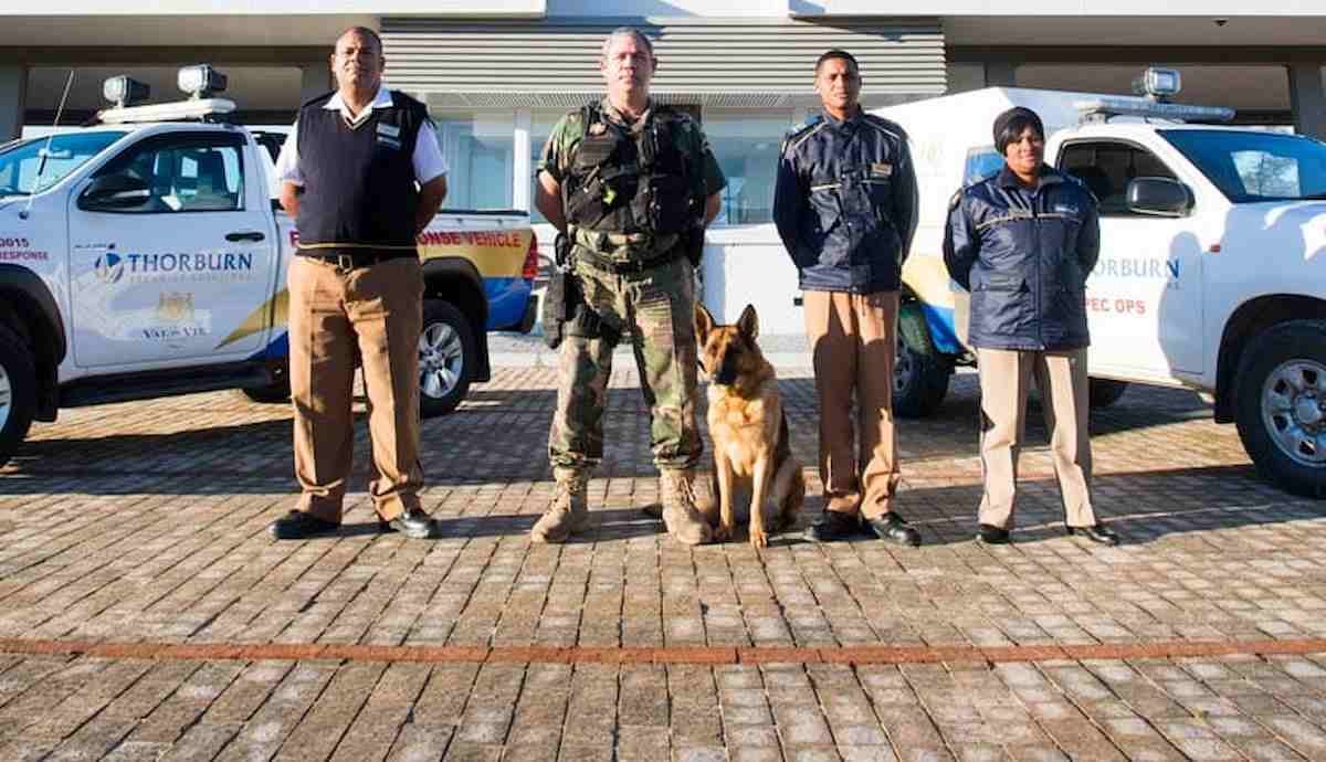 Thorburn Security Solutions is looking for Security Officers 1